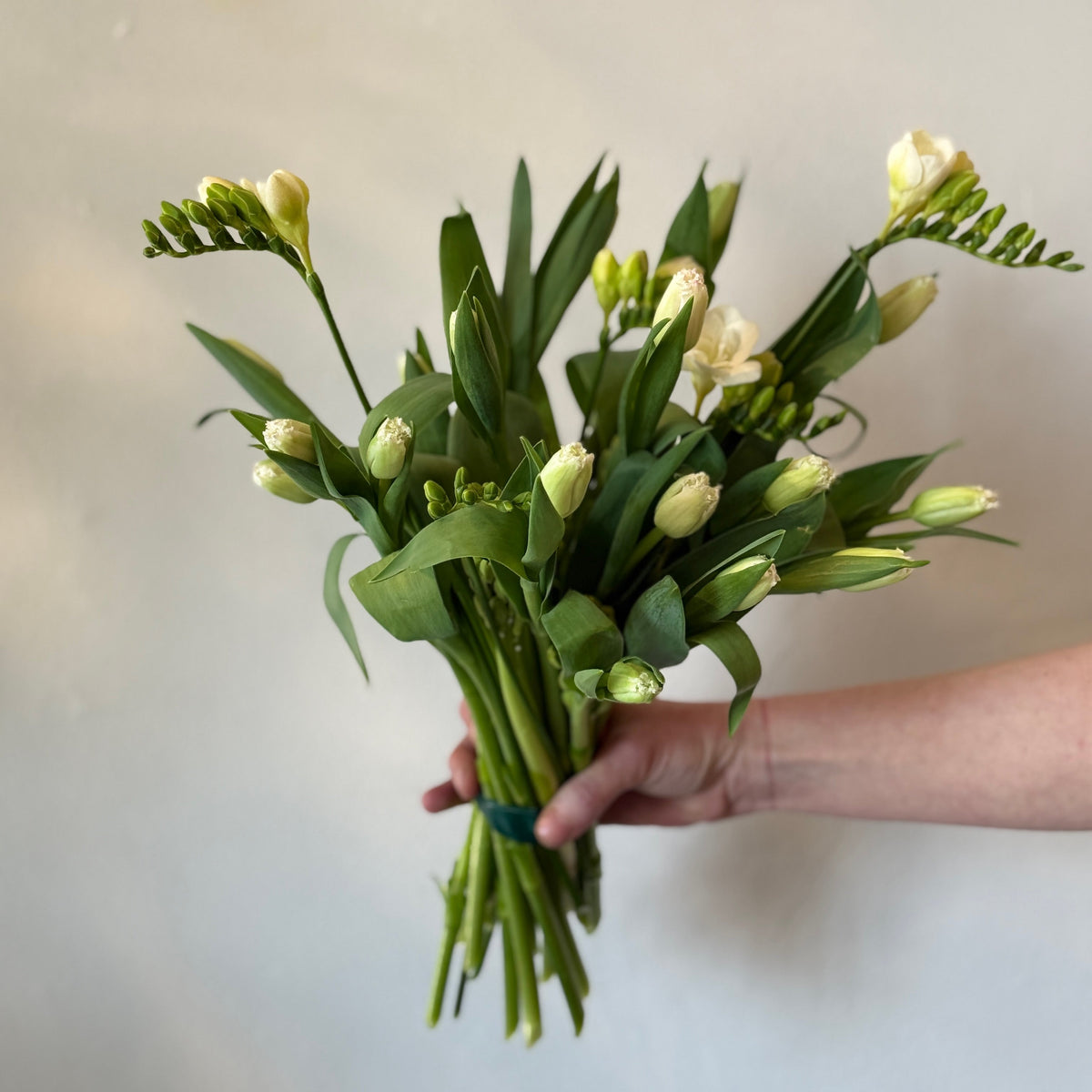 Freesia Bell - Bloomfields