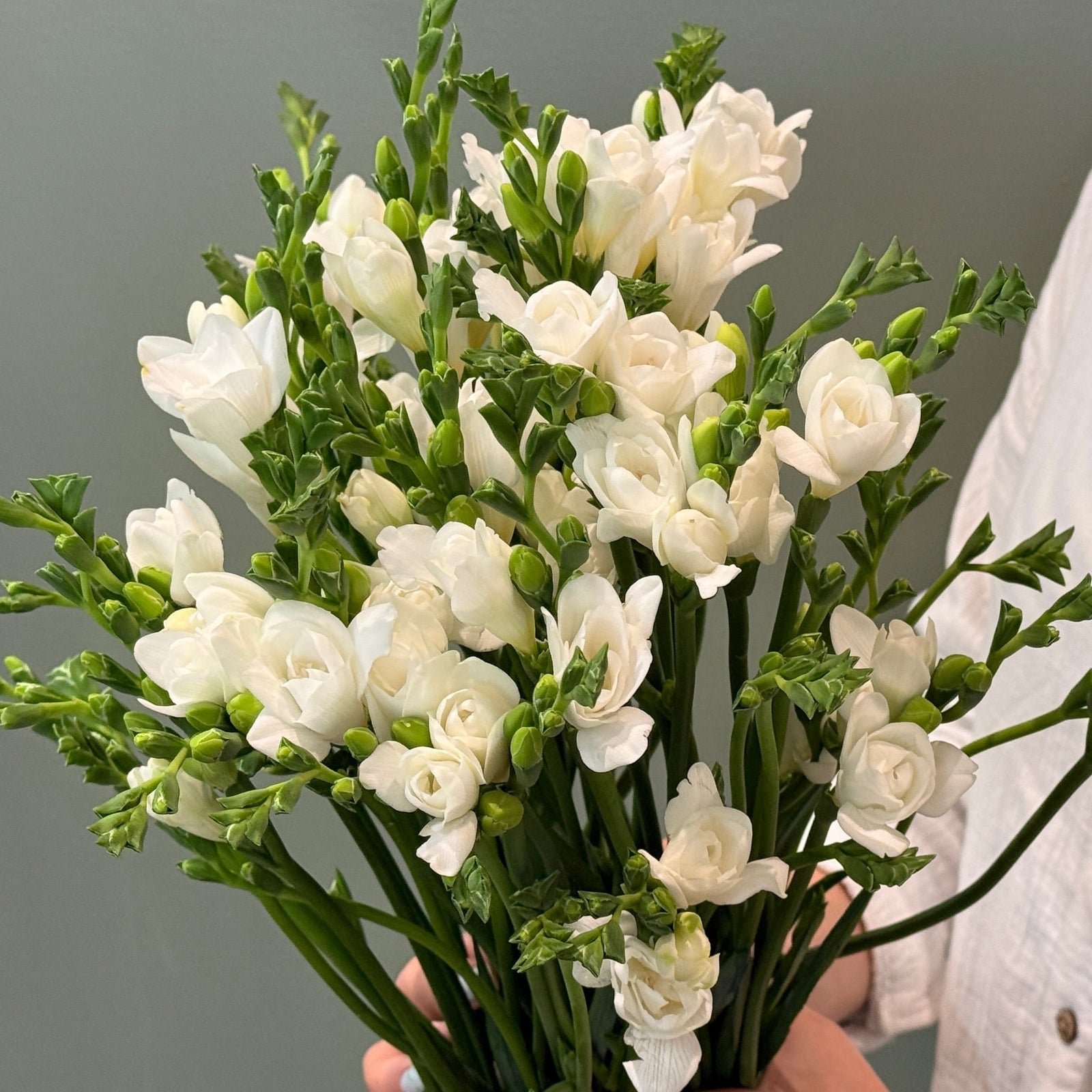 Freesia Market Bunch - Bloomfields