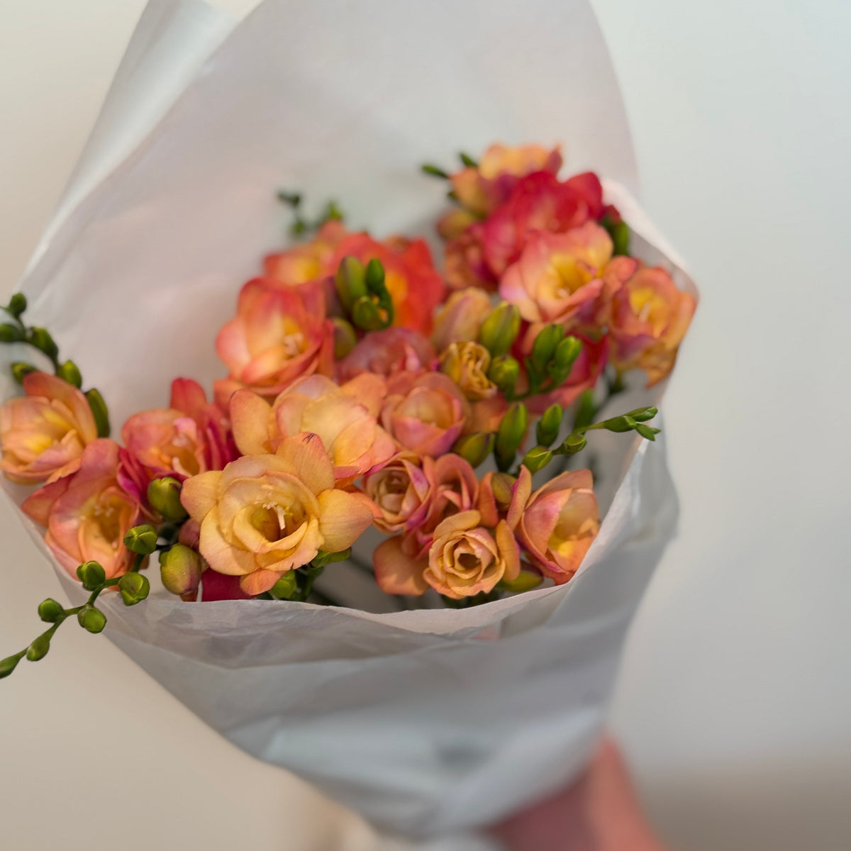 Freesia Market Bunch - Bloomfields