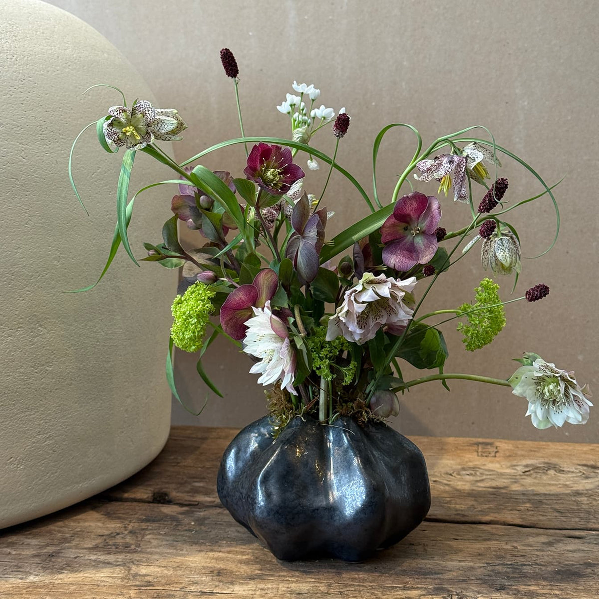 Frittilaria Whisper - Bloomfields