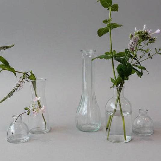 Glass Bud Vase Collection - Bloomfields