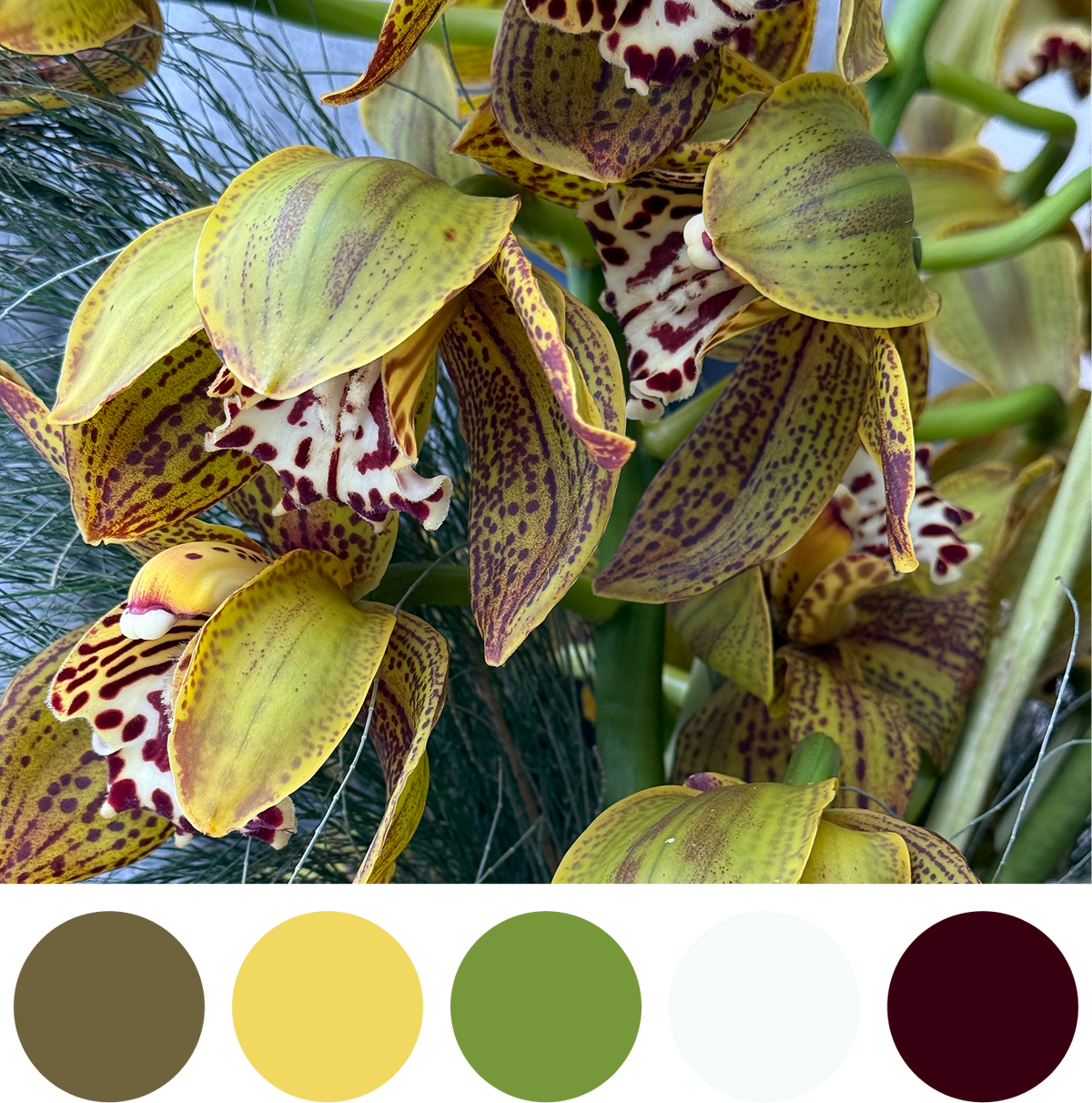 Golden Instinct - Bloomfields