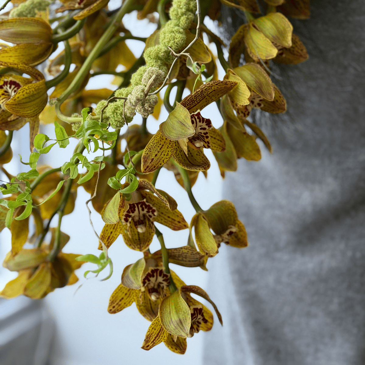 Golden Instinct - Bloomfields