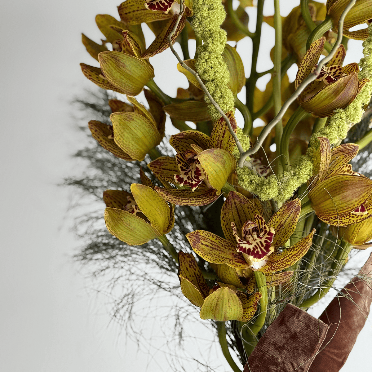 Golden Instinct - Bloomfields