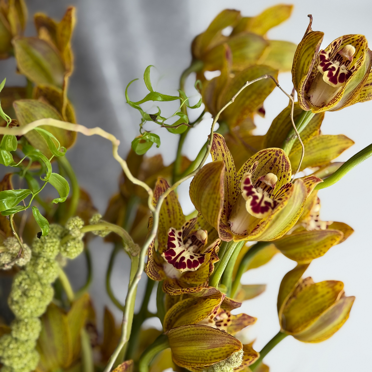 Golden Instinct - Bloomfields