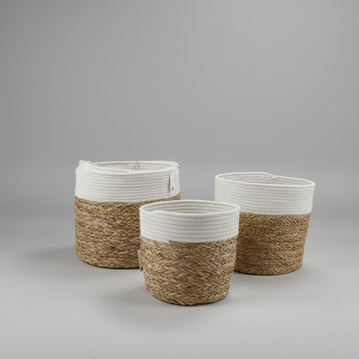 Hand - Woven Baskets - Bloomfields