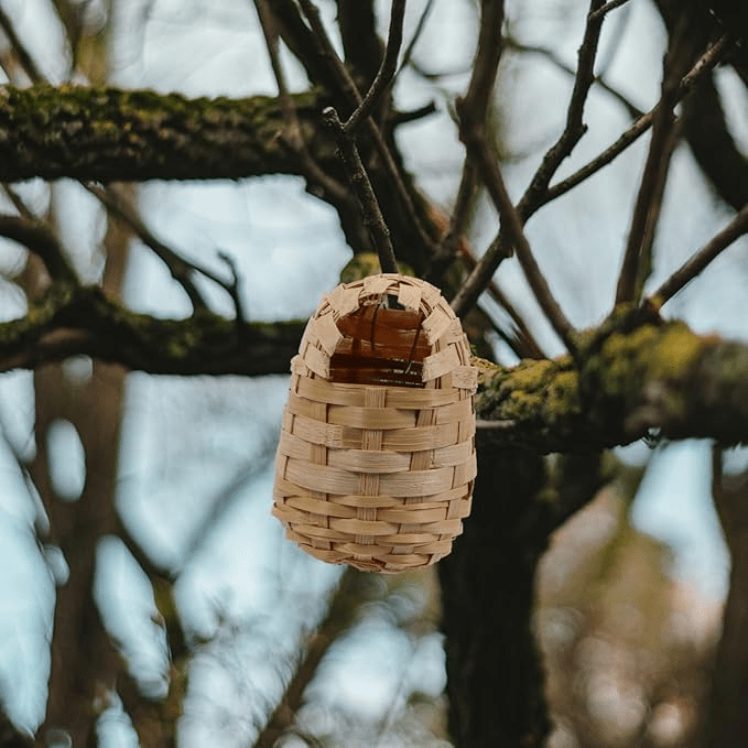 Handwoven Bamboo Bird Nest - Bloomfields