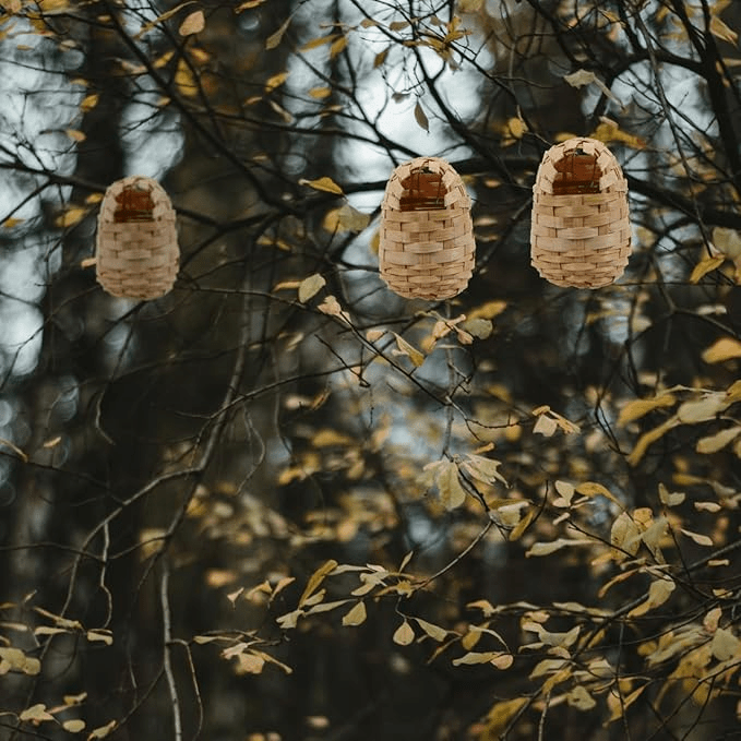 Handwoven Bamboo Bird Nest - Bloomfields