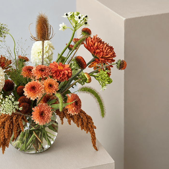 HARVEST | Arrangement - Bloomfields