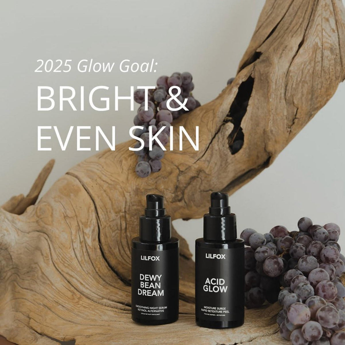 Holiday Workshop &amp; Demonstrations - Bloomfields