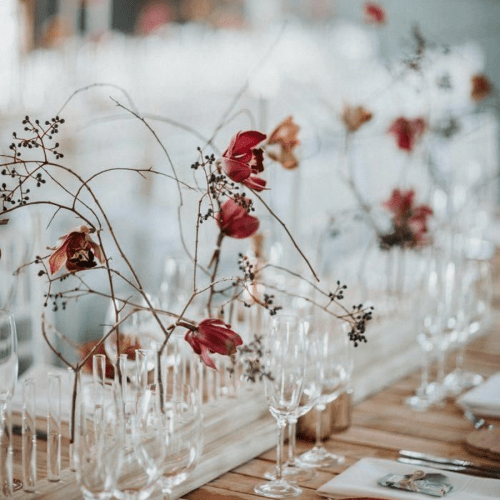 Holiday Workshop & Demonstrations - Bloomfields