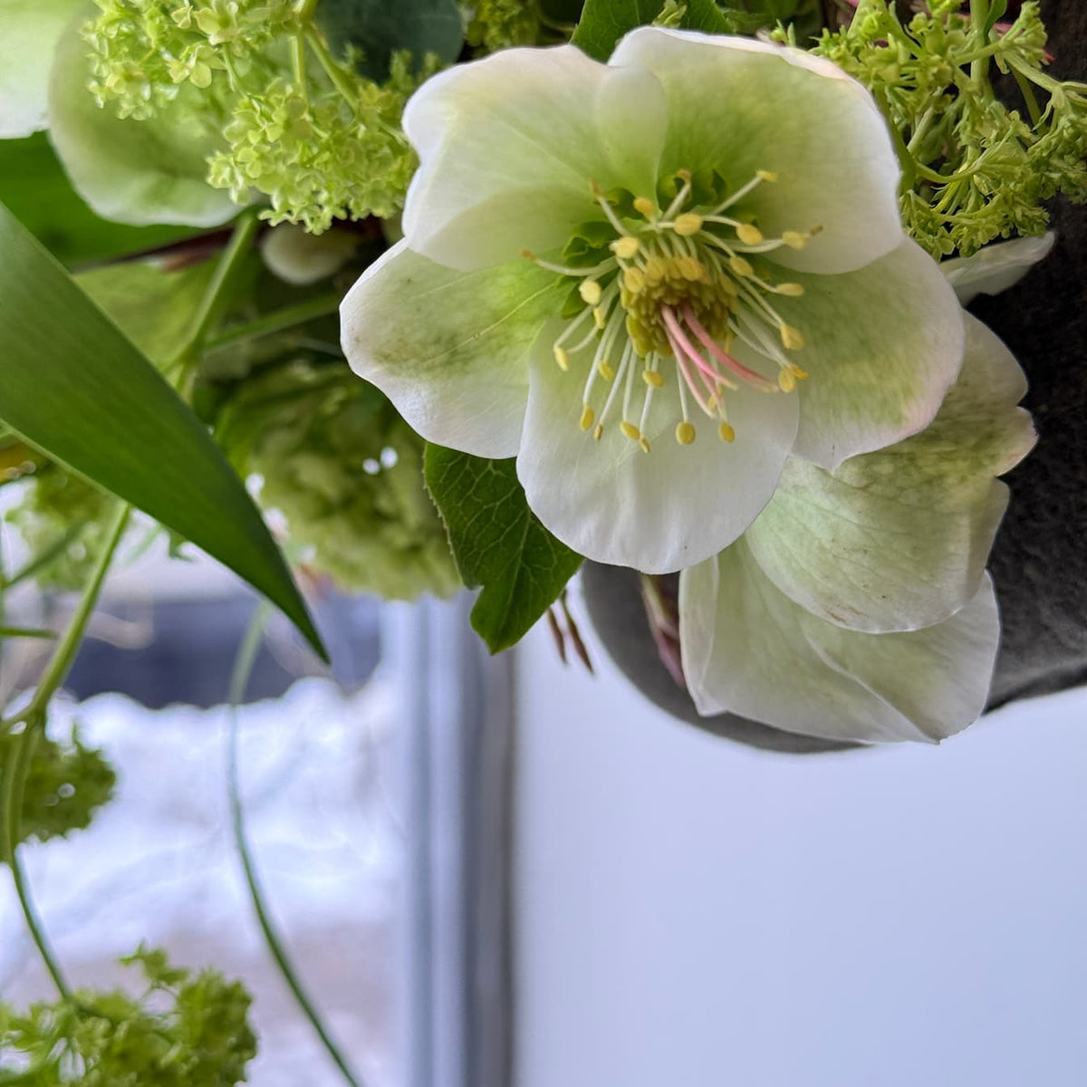 Hope Spring Hand - Tied Bouquet - Bloomfields