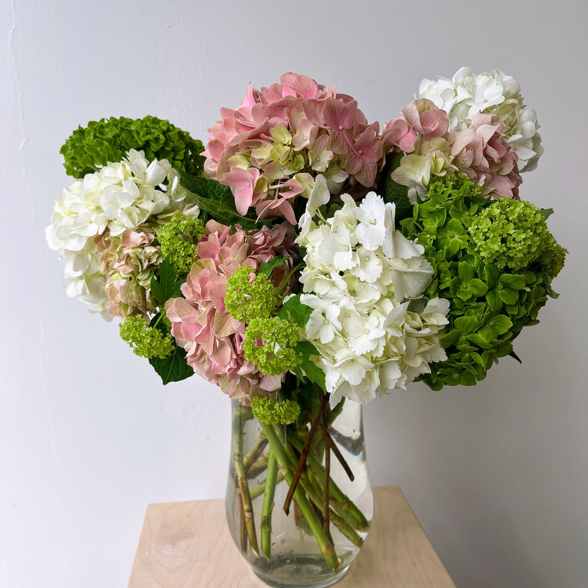 Hydrangea Hand - tied Bouquet - Bloomfields