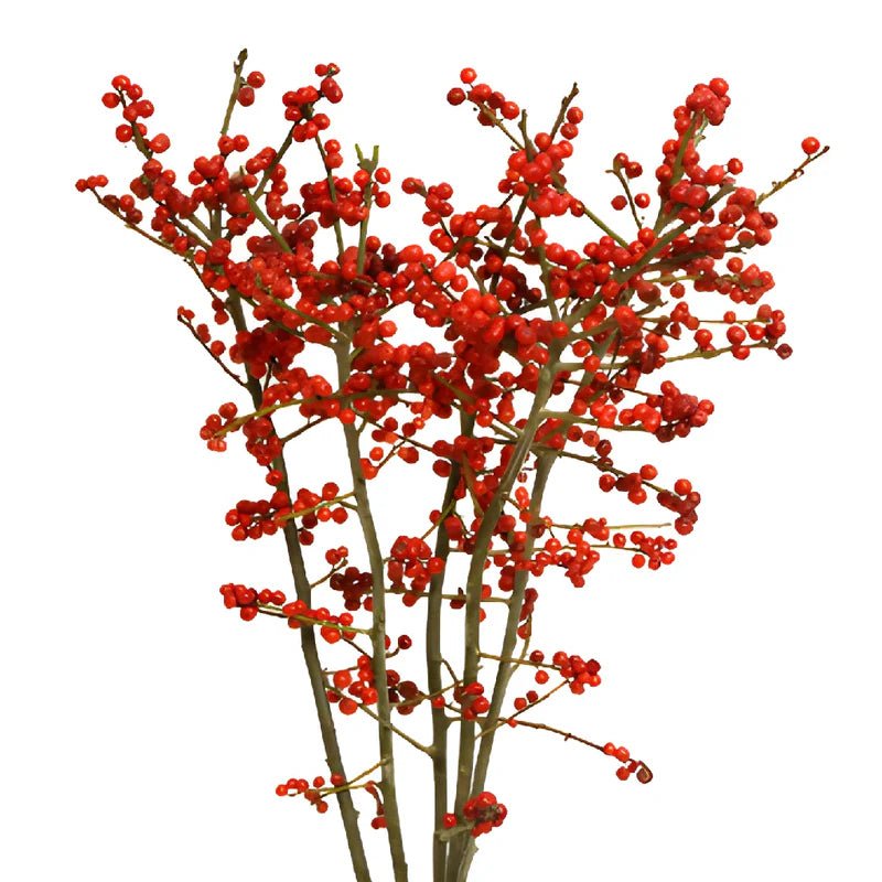 Ilex Market Bunch - Bloomfields