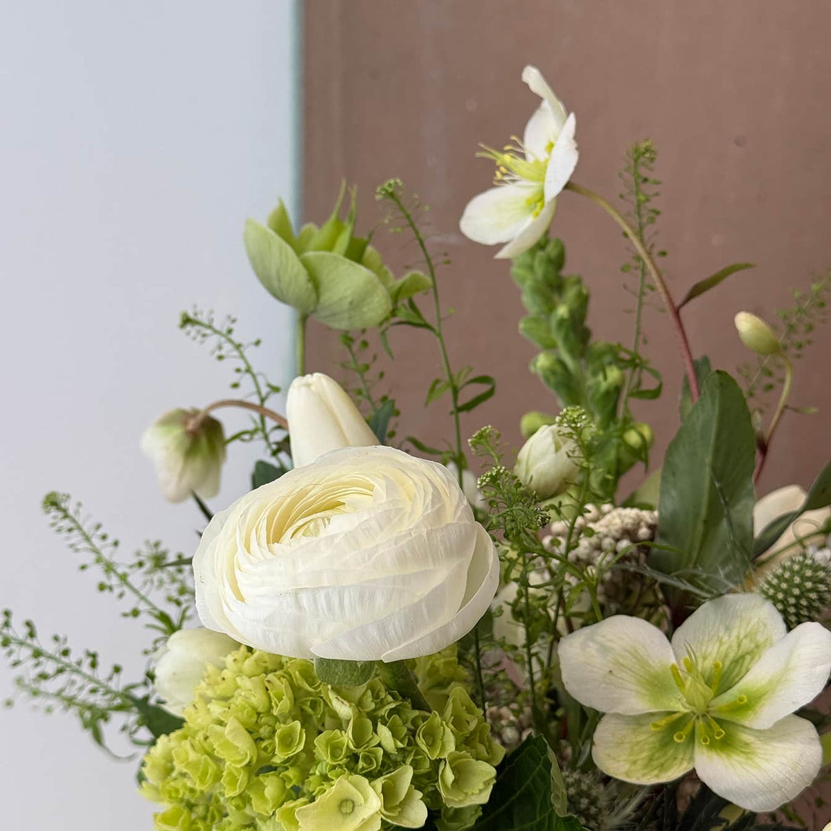 Light Classic - Bloomfields