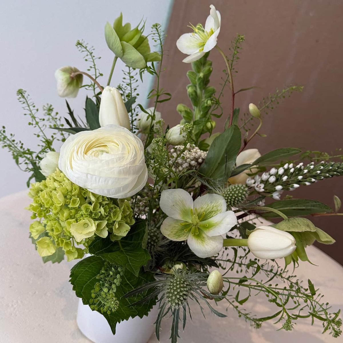 Light Classic - Bloomfields