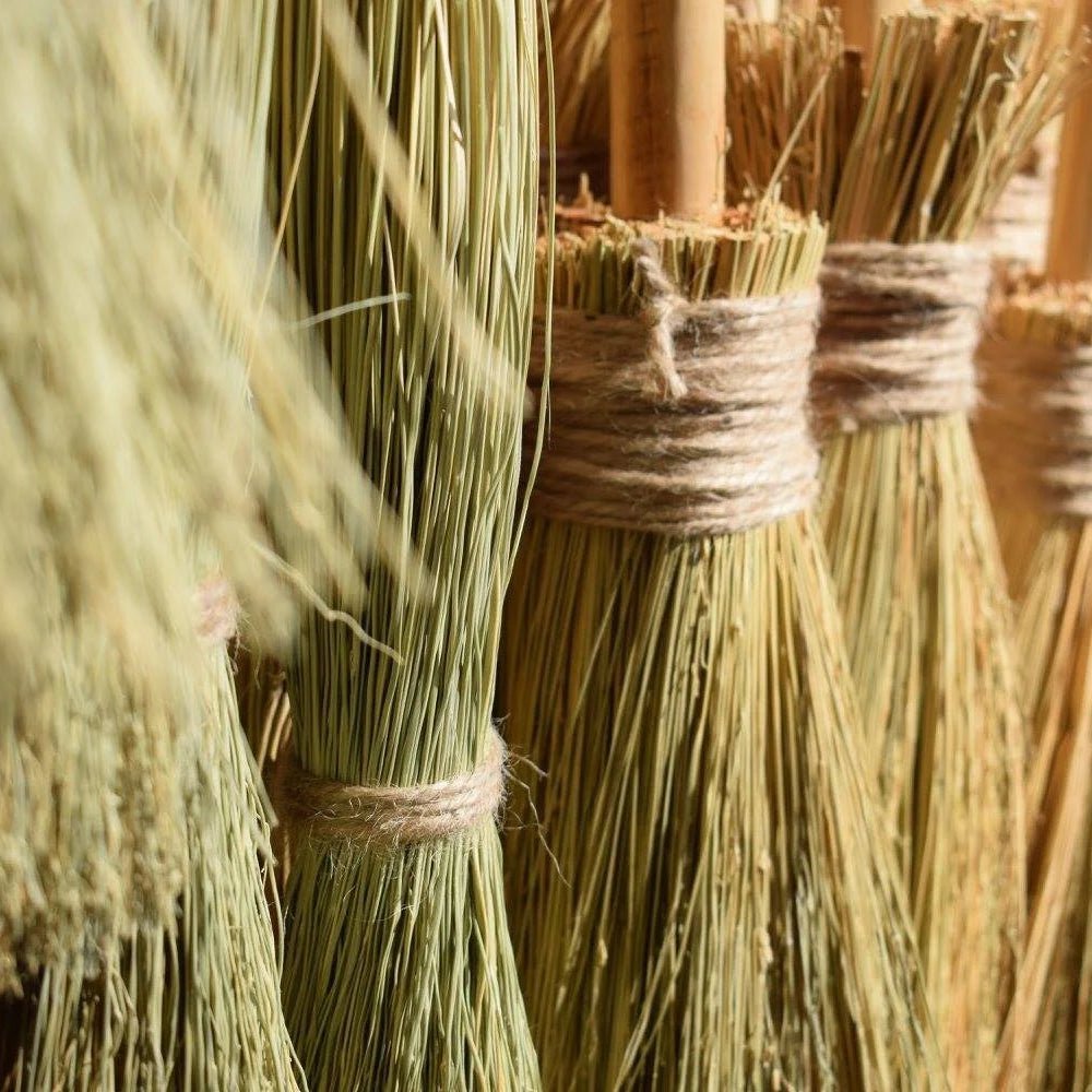 Little Witches and Wizard Brooms - Bloomfields