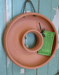 Living Wreath, Wall Planter - Bloomfields
