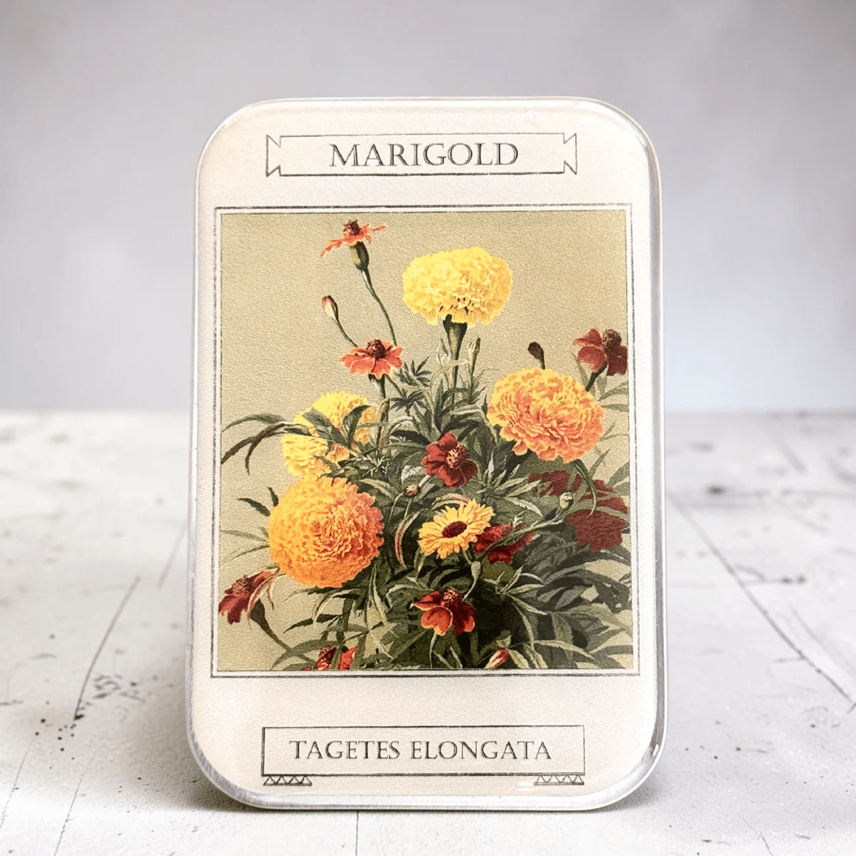 Marigold, Notions Tin - Bloomfields