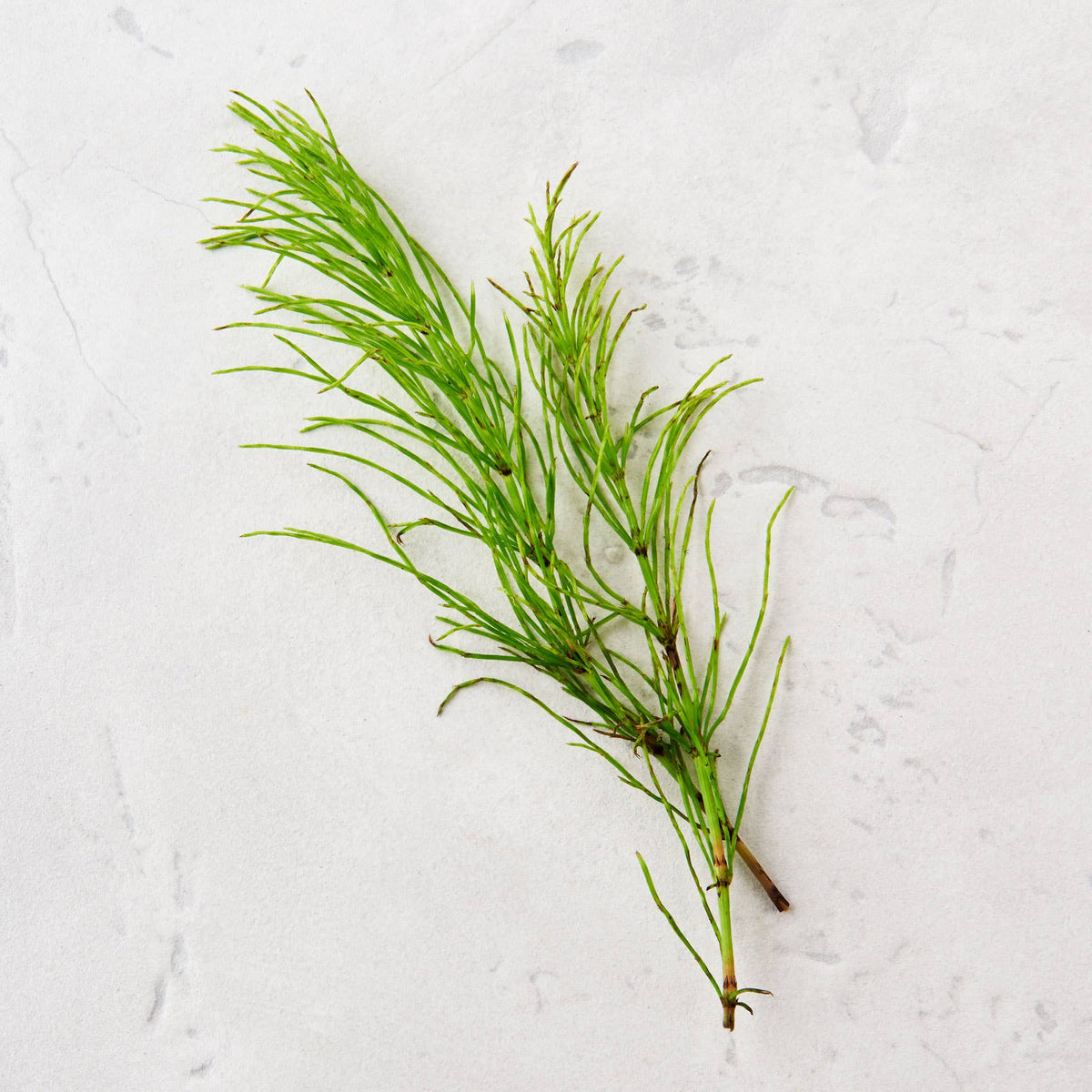 Matter Hand Cream - Bloomfields