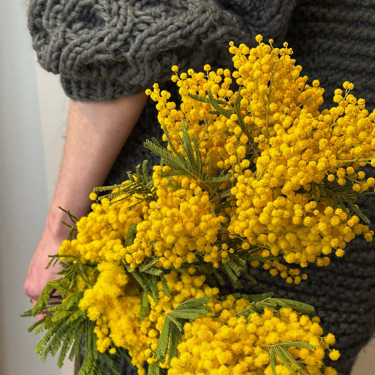 Mimosa Market Bunch - Bloomfields
