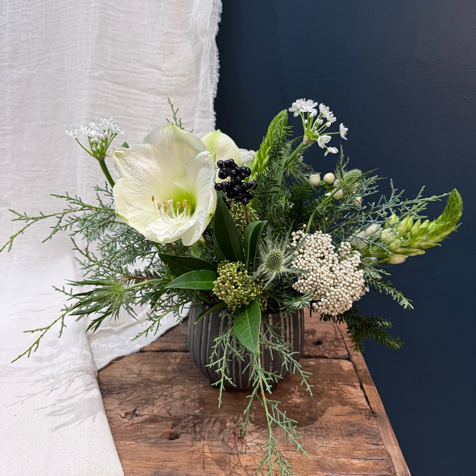 Moonlight Medium - Bloomfields