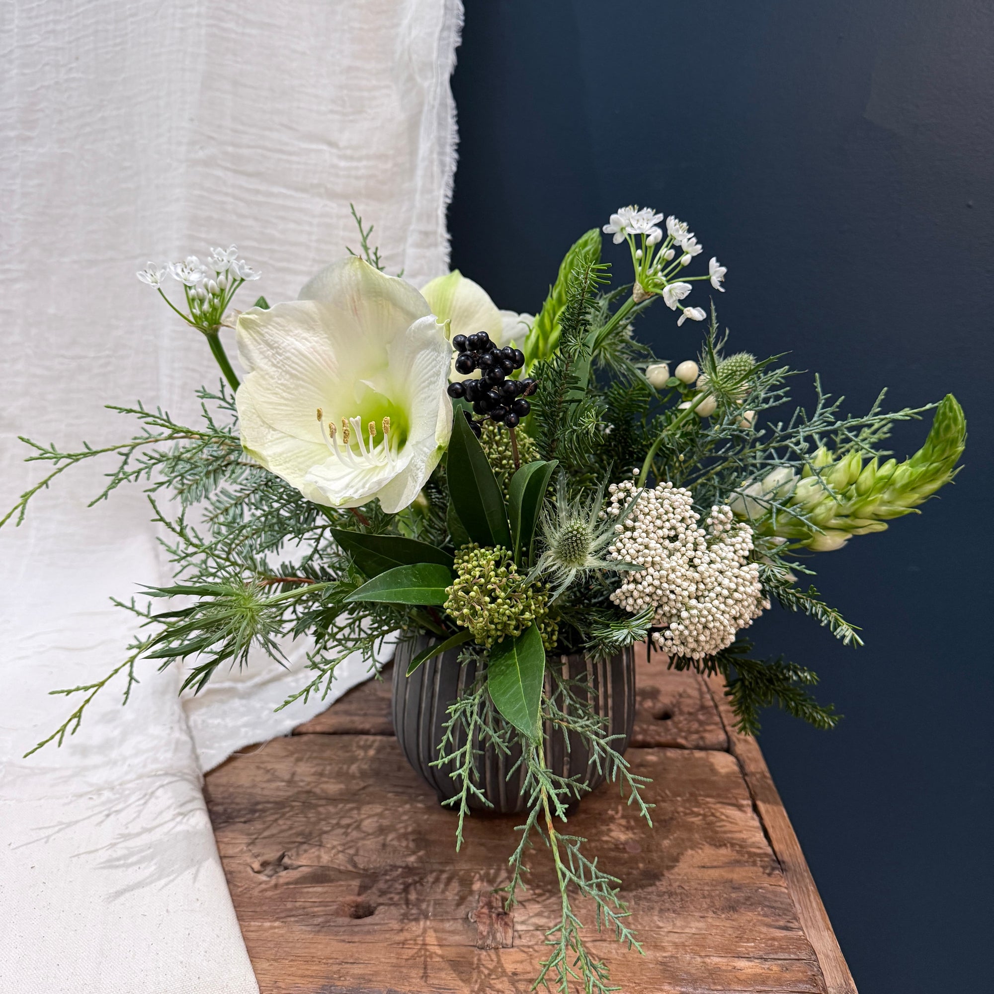 Moonlight Medium - Bloomfields