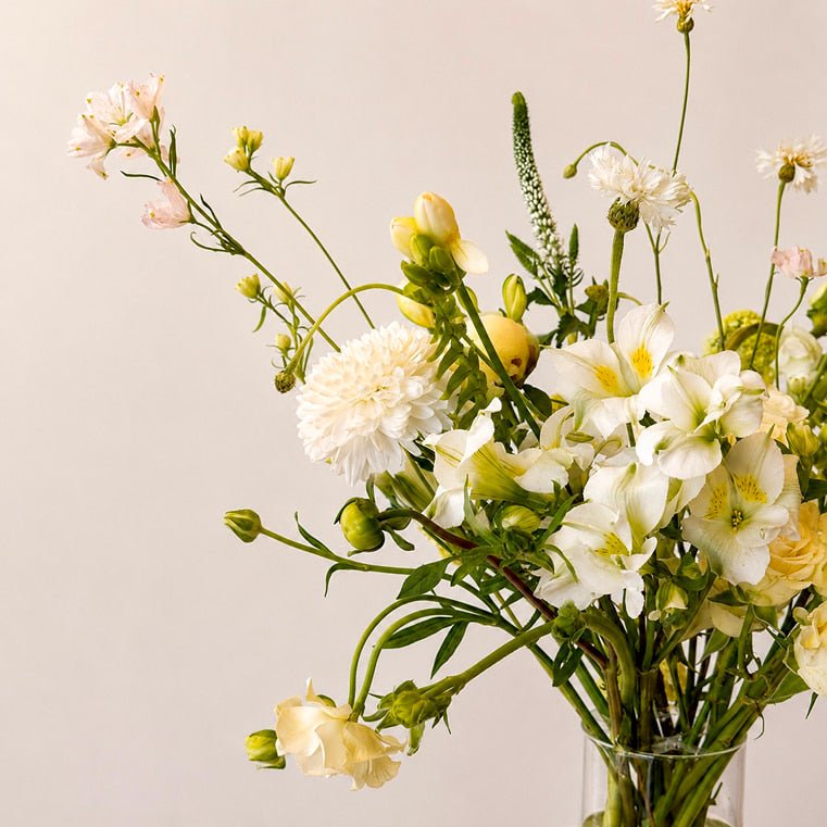 Morning Light - Bloomfields