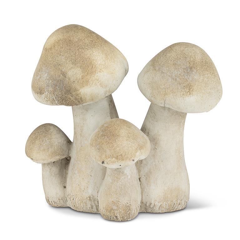 Mushroom Cluster - Bloomfields