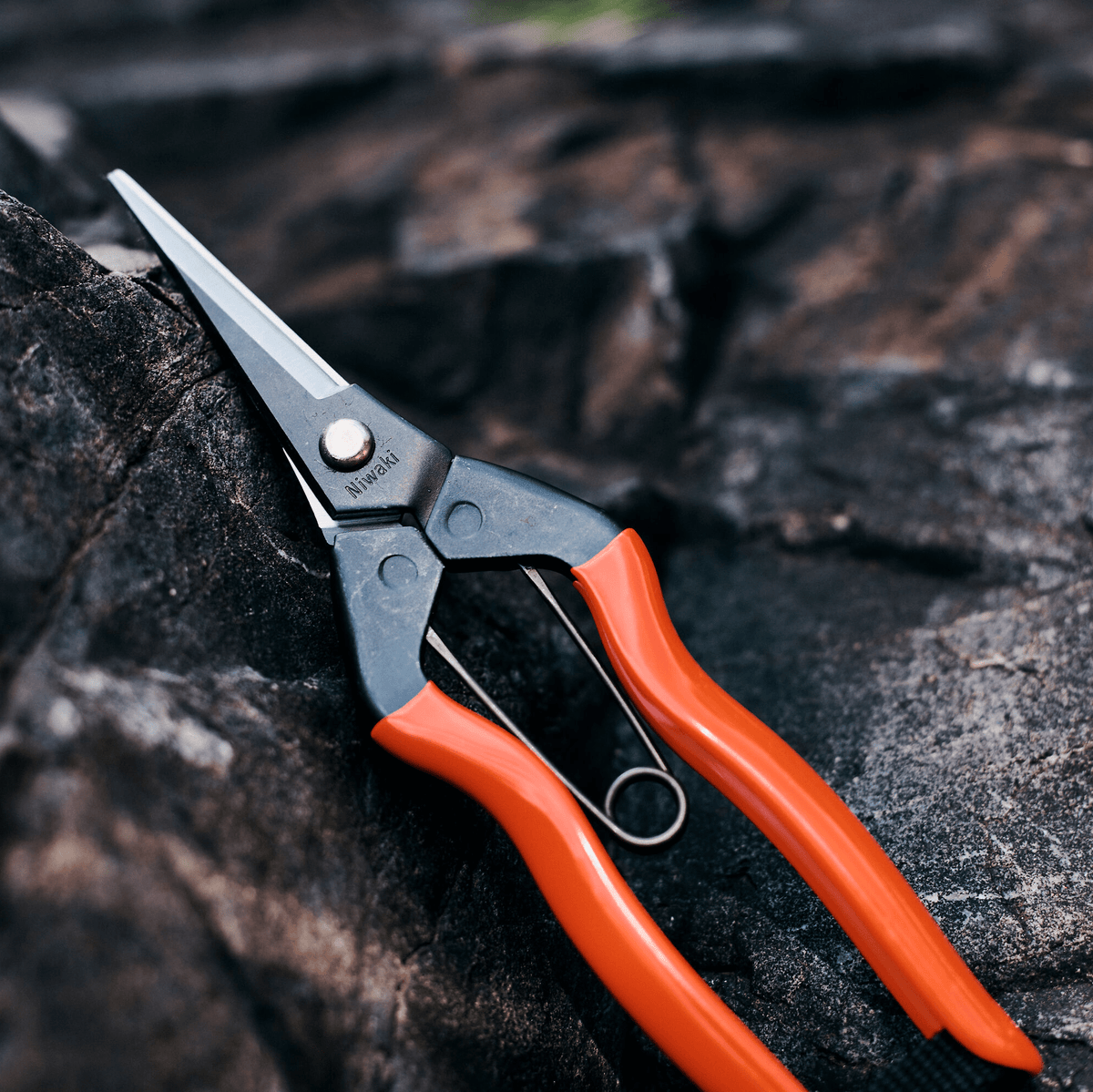 Niwaki Garden Snips - Bloomfields