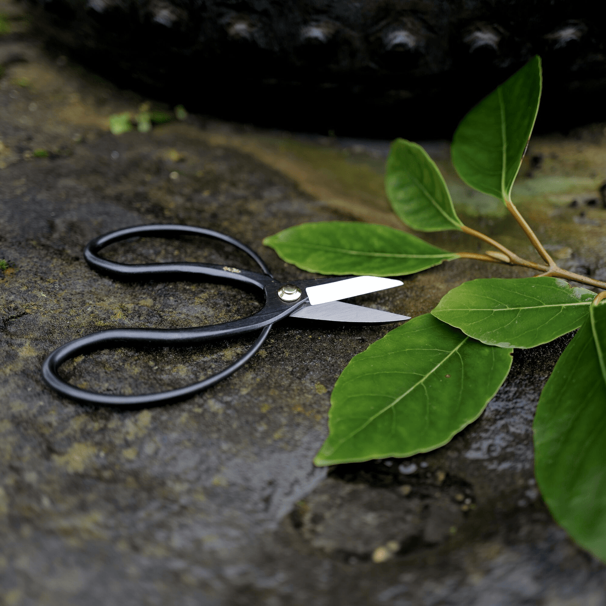 Niwaki Higurashi Scissors - Bloomfields