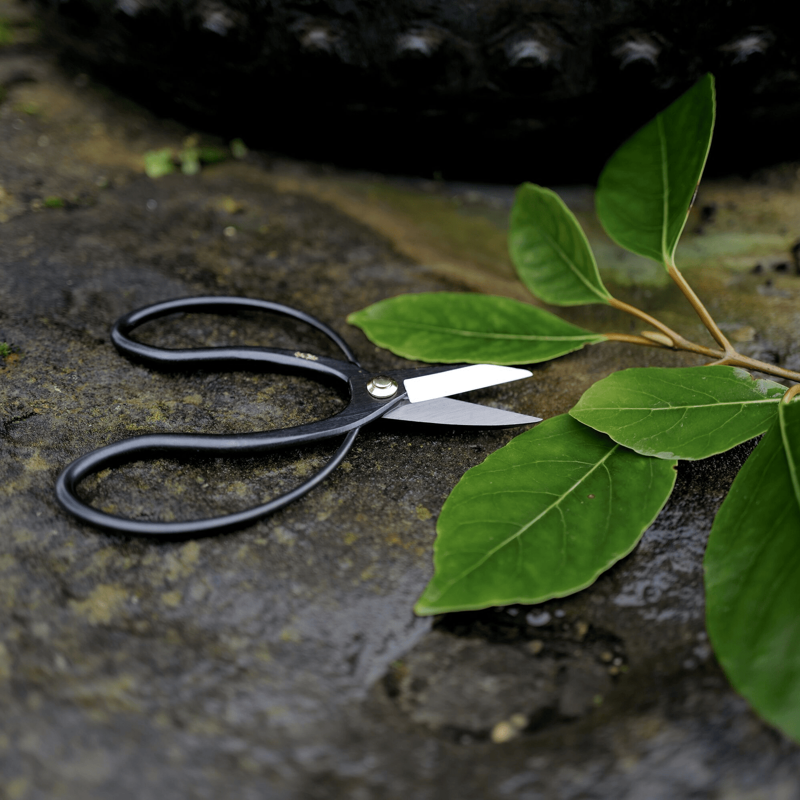 Niwaki Higurashi Scissors - Bloomfields