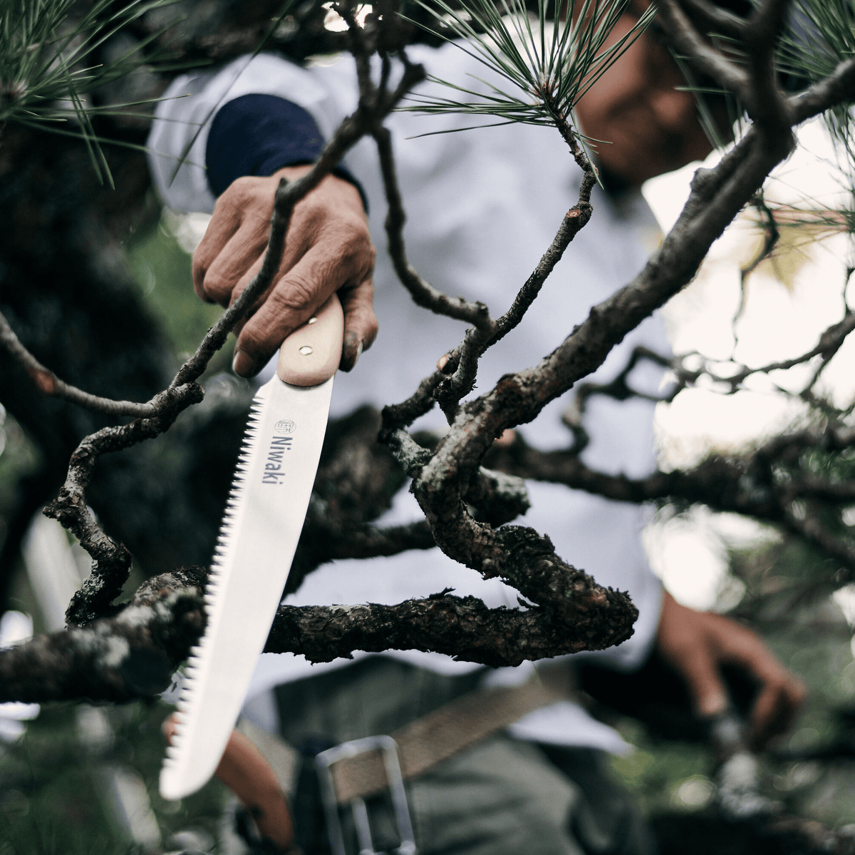 Niwaki Moku Pruning Saw - Bloomfields