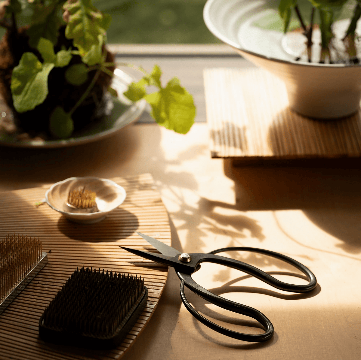 Niwaki Sentei Garden Scissors - Bloomfields