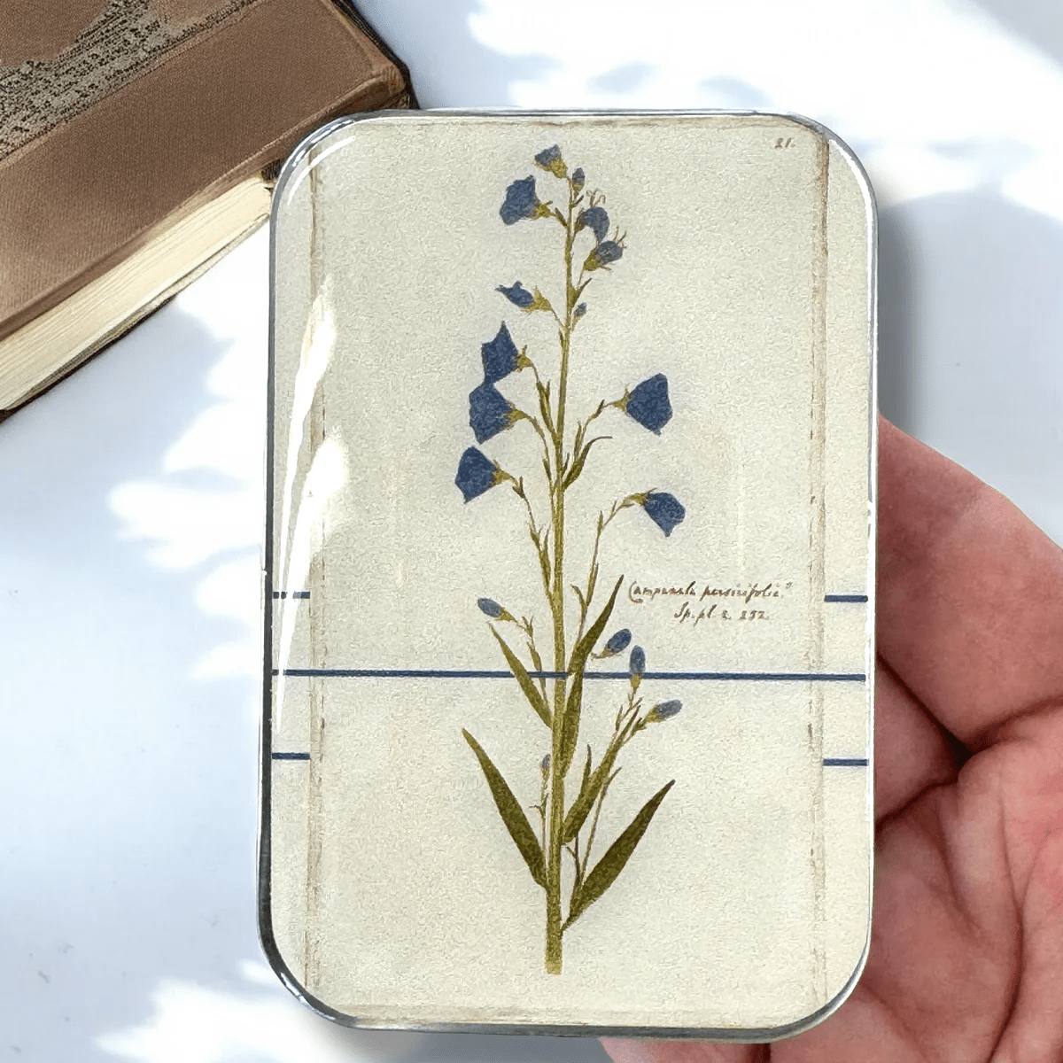 Notions Tin - Bloomfields