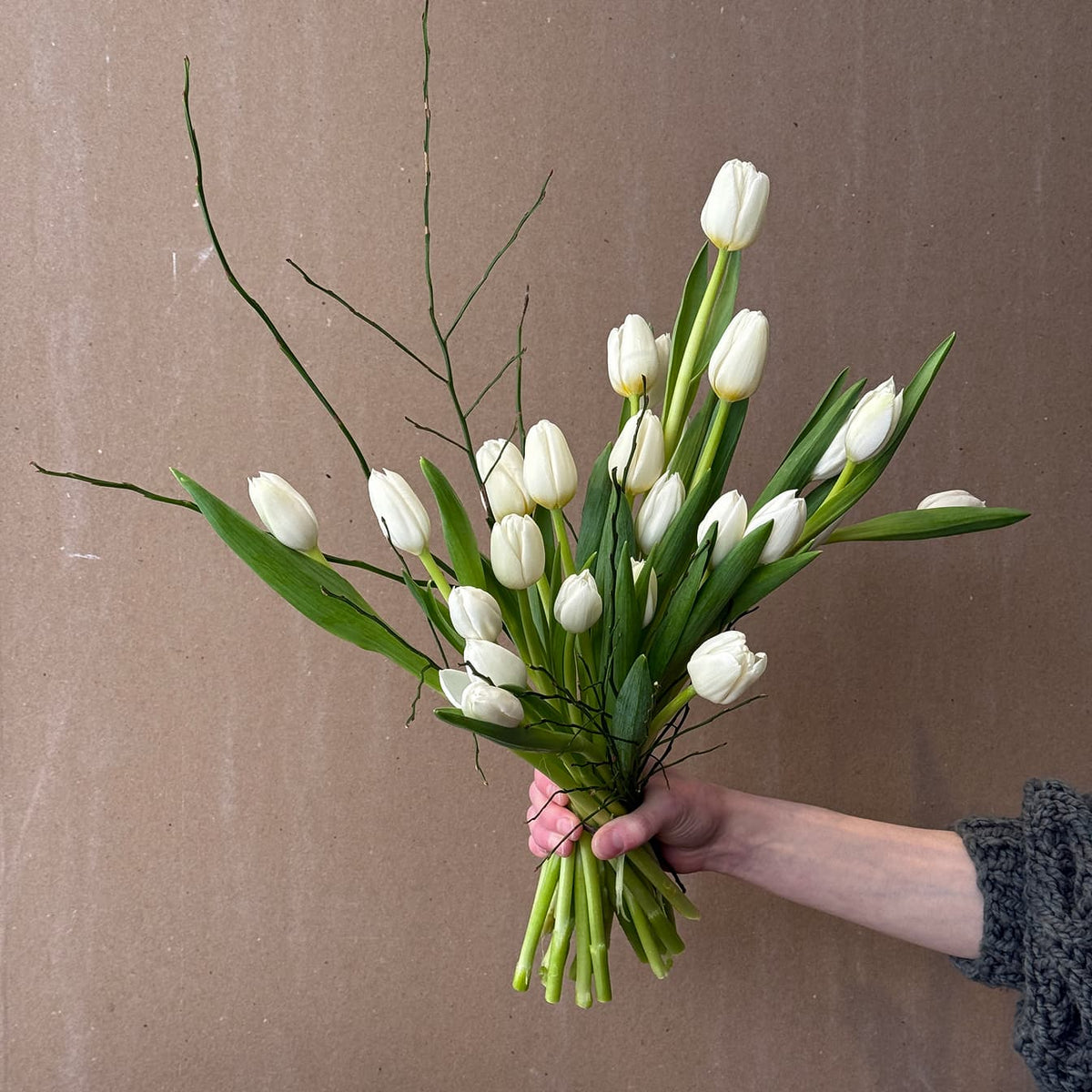 Nova Tulip Bouquet - Bloomfields