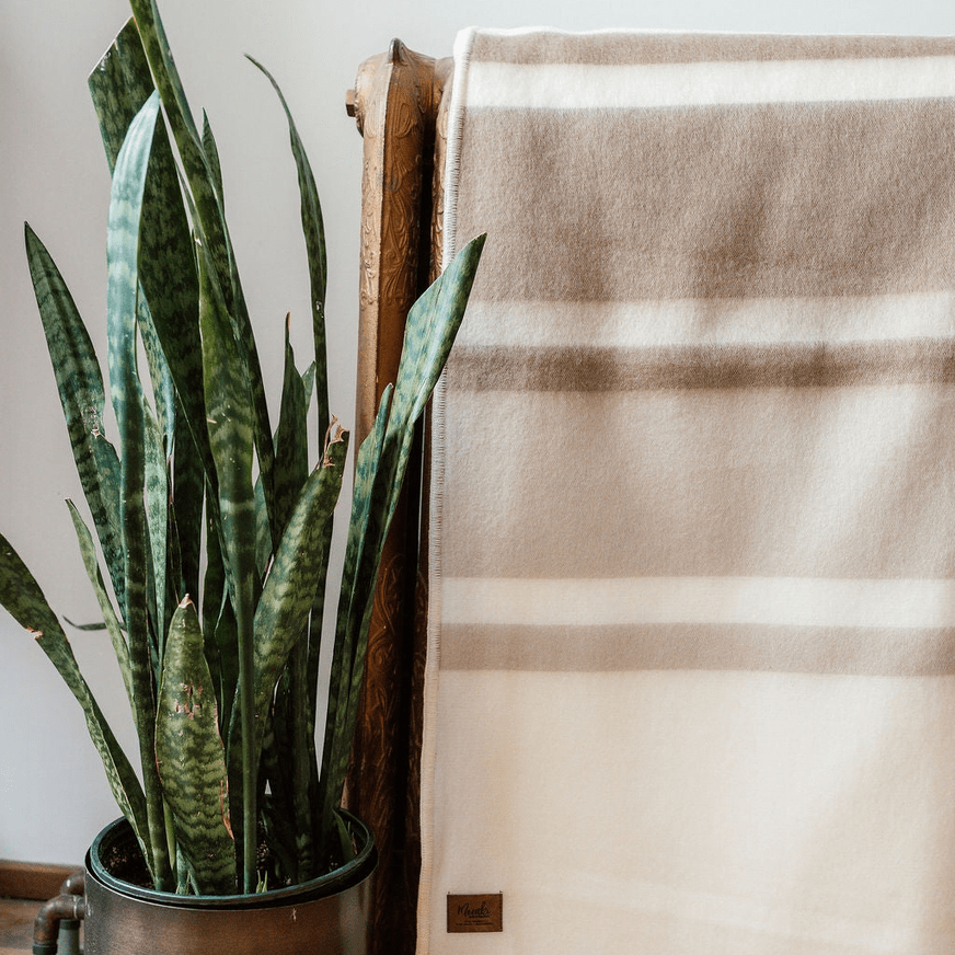 Oat Milk Alpaca Throw Blanket, Meraki Movement - Bloomfields