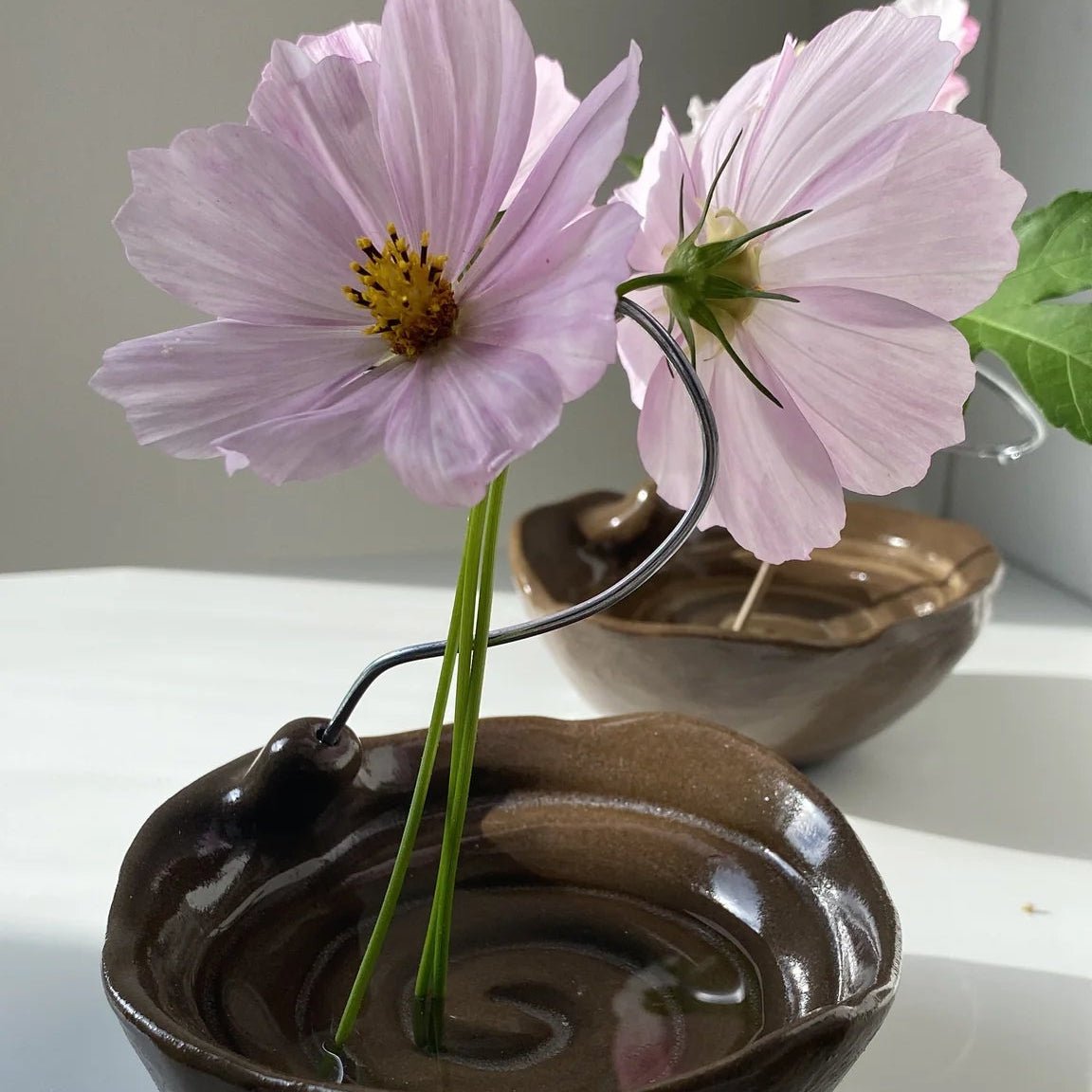 Oksana Berda Spiral Bowl Stem Holder Earth - Bloomfields