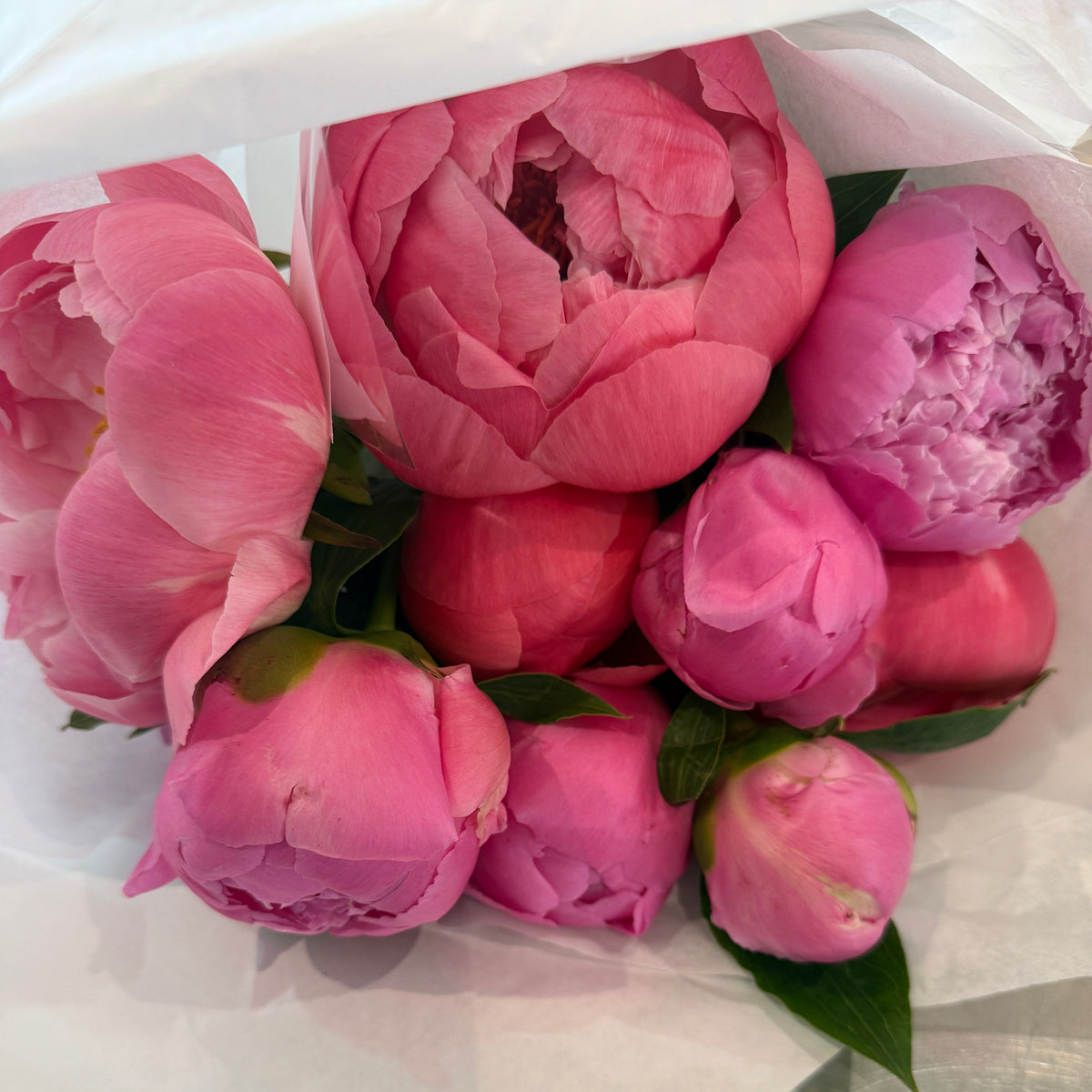 Peony Market Bunch - Bloomfields