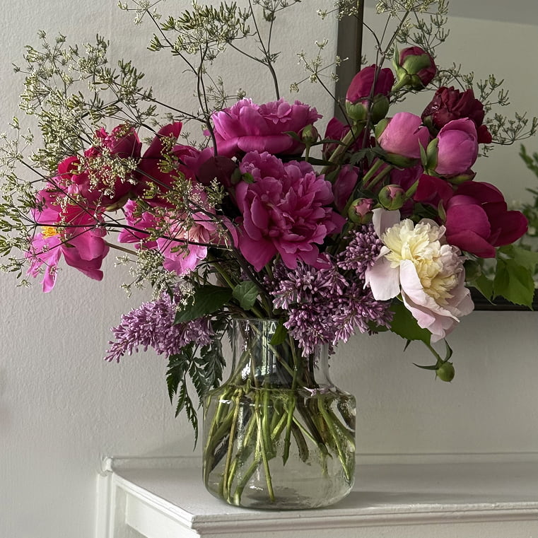 Peony Reverie - Bloomfields
