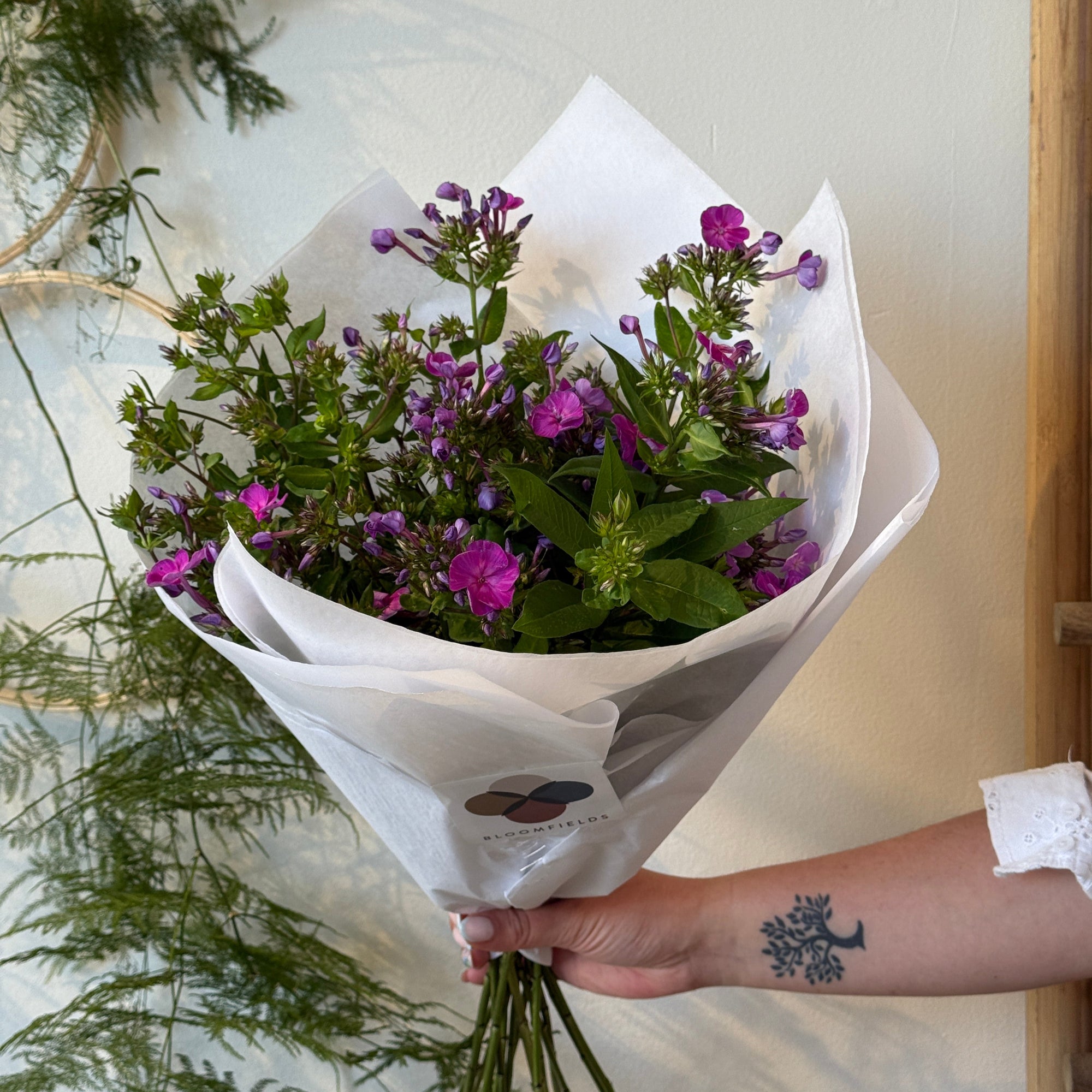 Phlox Market Bunch - Bloomfields