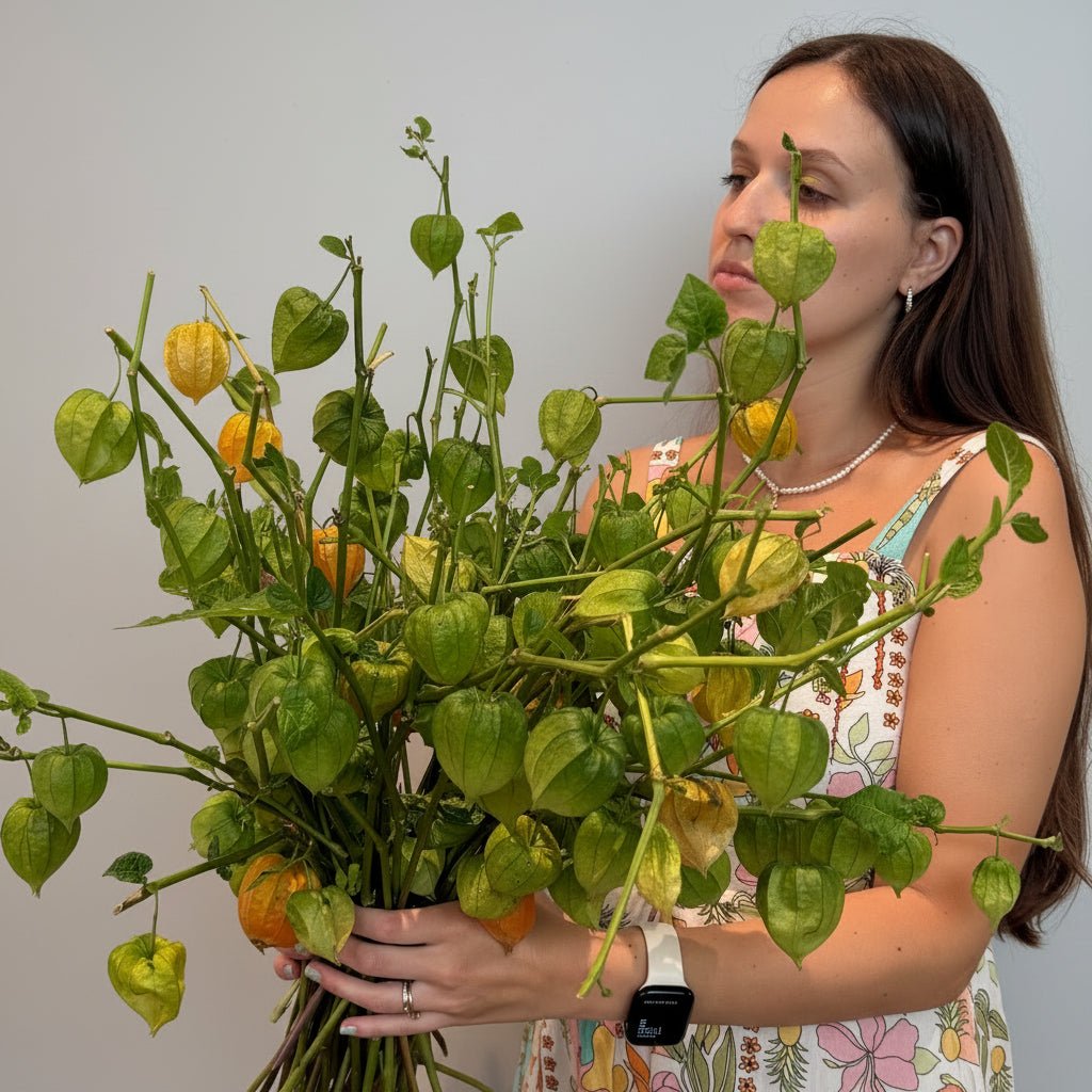 Physalis Market Bunch - Bloomfields