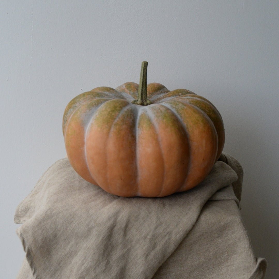 Pick a Pumpkin, Feed a Family. - Bloomfields