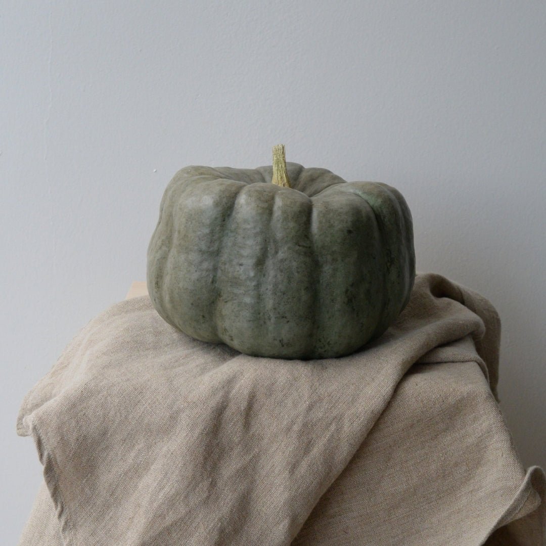 Pick a Pumpkin, Feed a Family. - Bloomfields