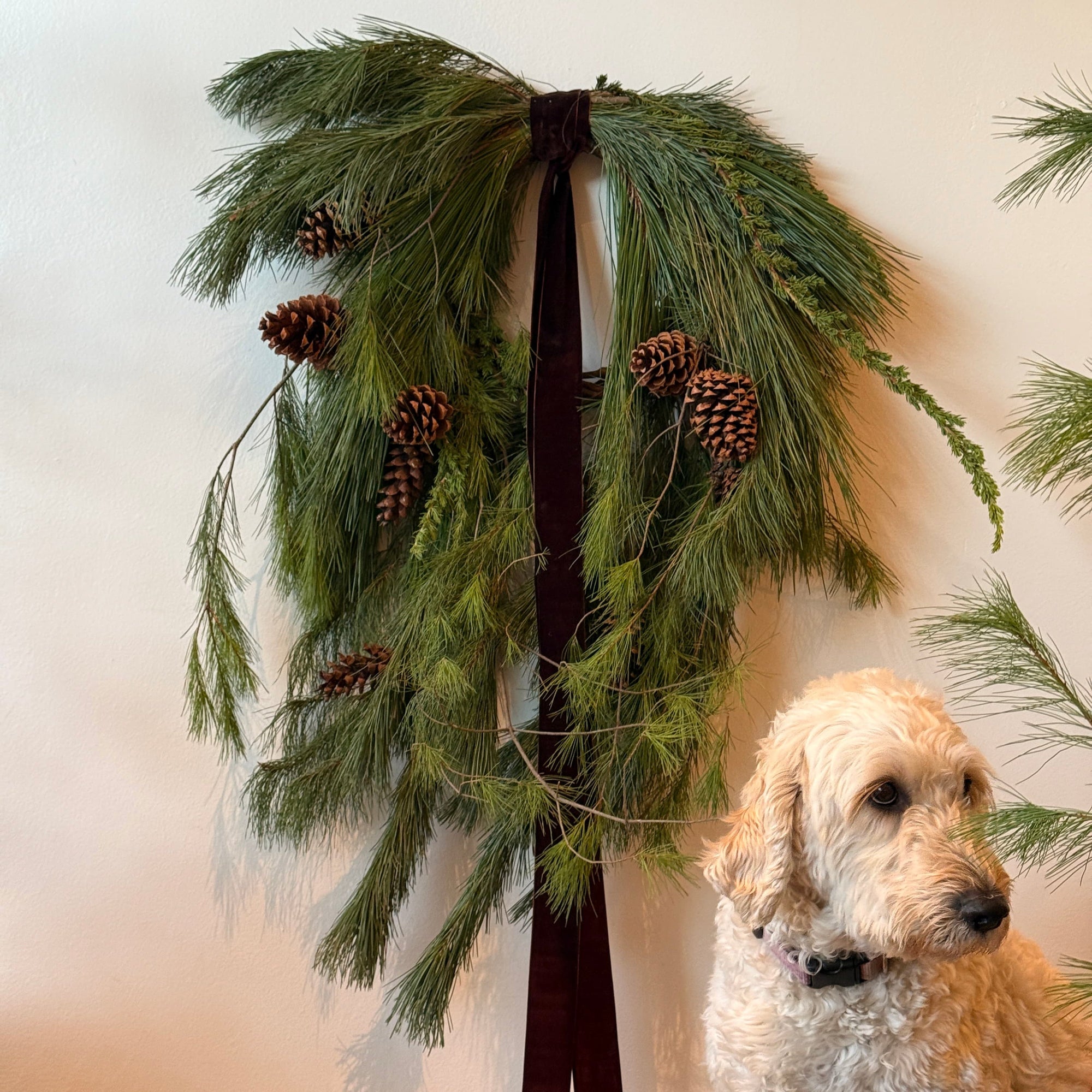 Pine Cone Forest Wreath - Bloomfields