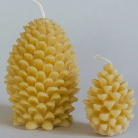 Pinecone Beeswax Candle - Bloomfields