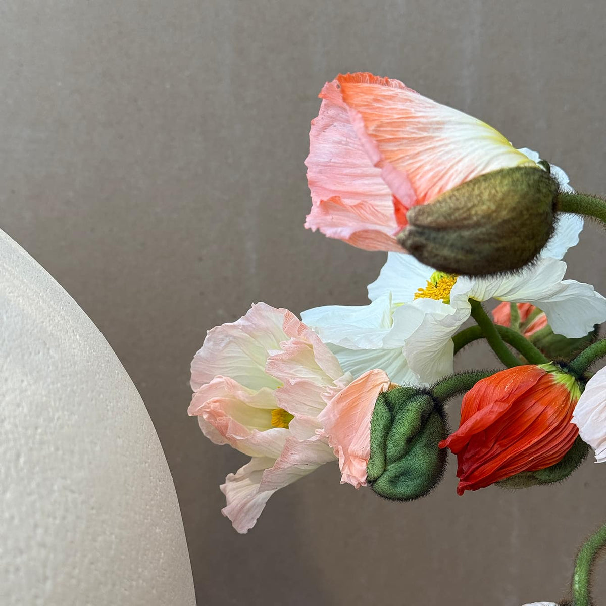 Poppies Market Bunch - Bloomfields