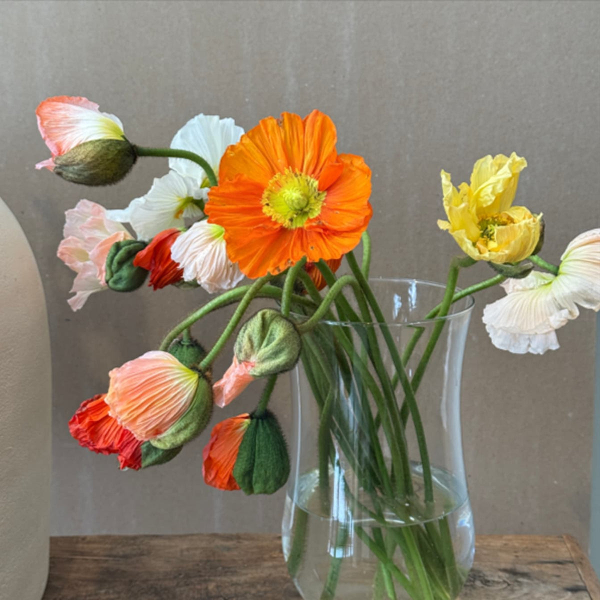 Poppies Market Bunch - Bloomfields