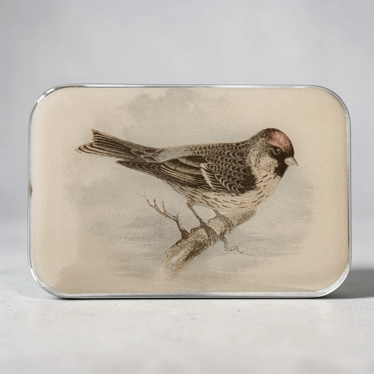 Redpoll Bird, Notions Tin - Bloomfields