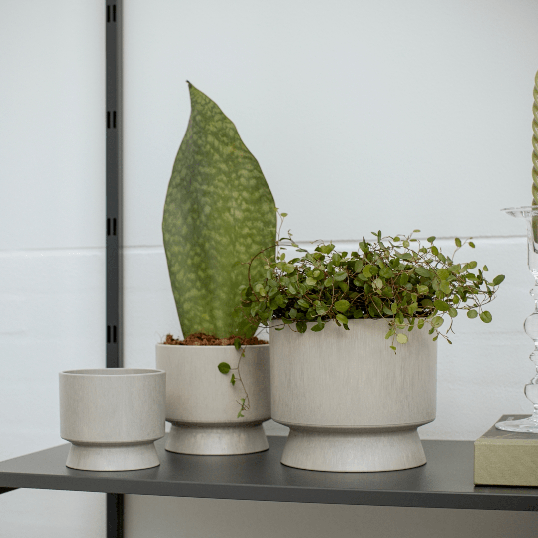 Rosendahl Flowerpot Lg - Bloomfields